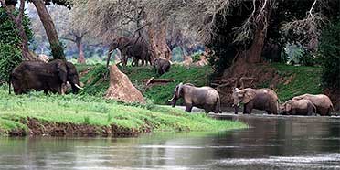Top Rated Safari Tour Operators: Zimbabwe