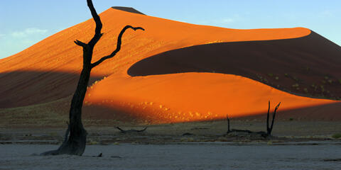 A Namibia Safari