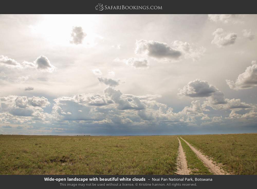 Wide-open landscape with clouds in Nxai Pan National Park, Botswana