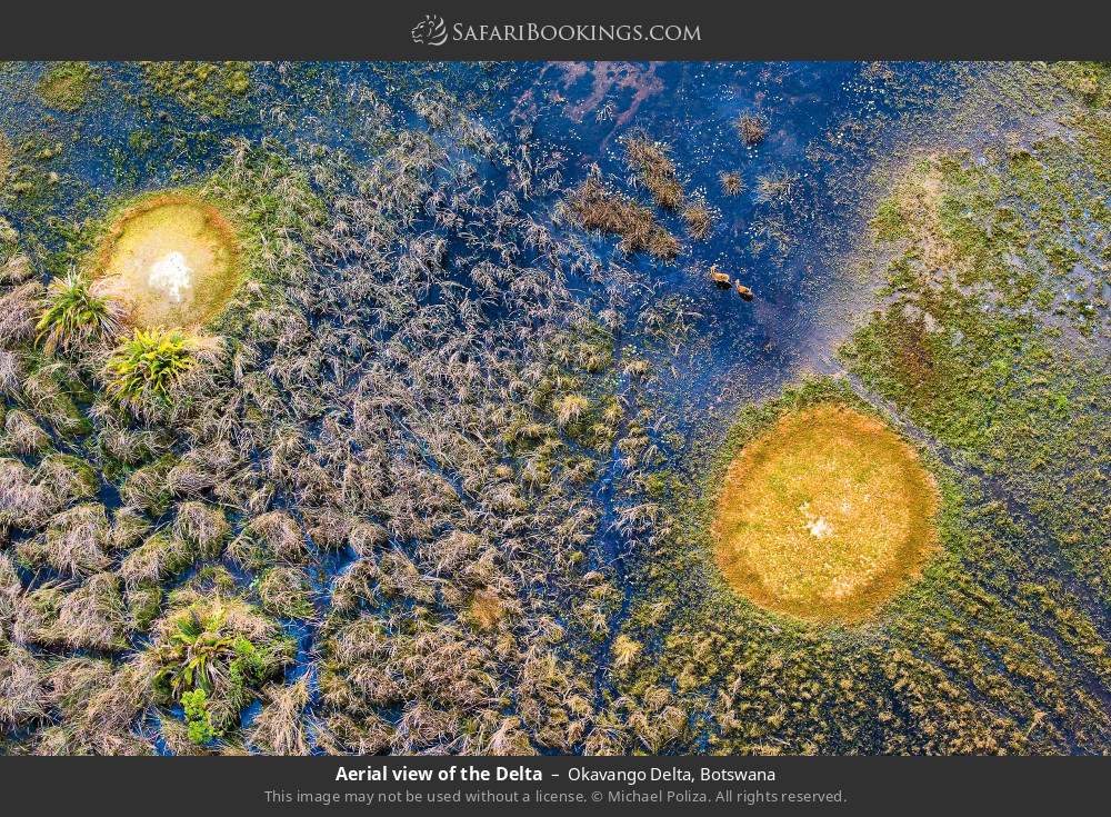 Aerial view of the Delta in Okavango Delta, Botswana