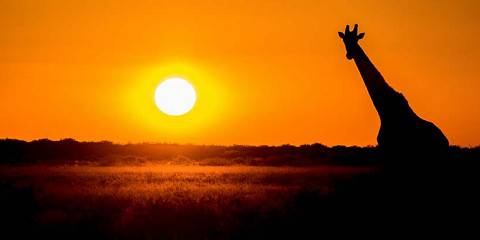8-Day Moonlight Victoria Falls to Okavango Tour