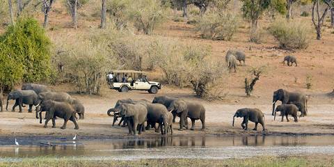Wildlife and Victoria Falls NP