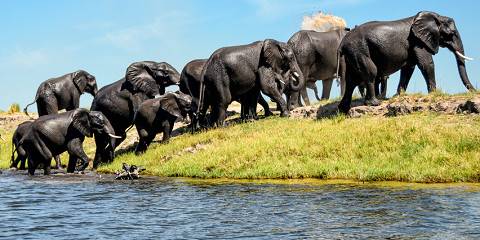 3-Day The Mighty Chobe