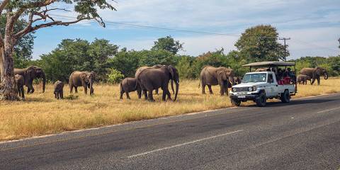 9-Day Game Viewing Explorer Tour