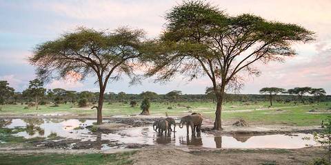 Livingstone & Chobe Camping Safari