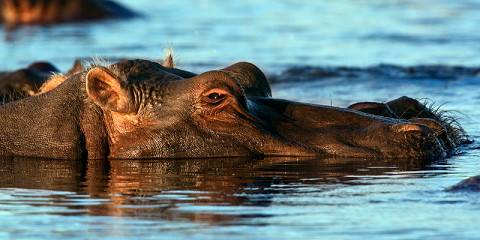 11-Day Lush Northern Namibia Self-Drive Safari