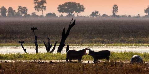 3-Day Chobe Camping Adventure-Land+River Safari+Meals