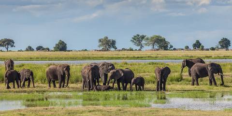 16-Day Incredible Namibia & Botswana Adventure
