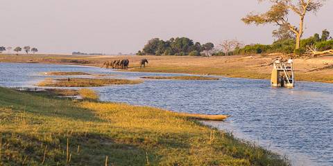 Chobe Excursion from Vic Falls