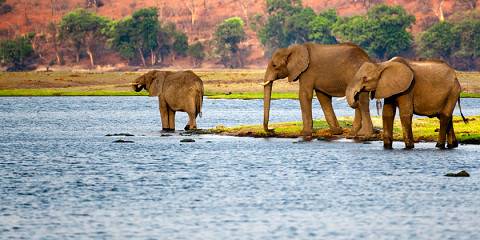 4-Day Iconic Victoria Falls & Zambezi Experience