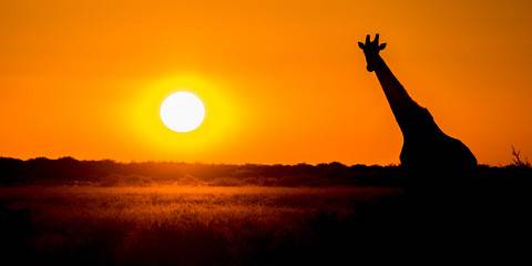 11-Day Botswana Mobile Camping Safari & Luxury Vic Falls
