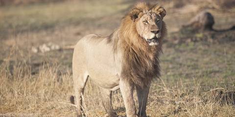 7-Day Sunset Safari