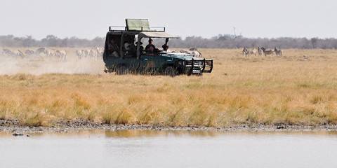 Hwange NP, Victoria Falls, Chobe, Savuti & Moremi