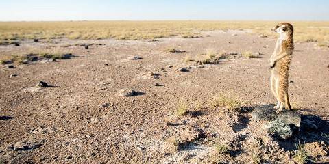 2-Day Makgadikgadi Salt Pans Sleepout Without Quad Bikes