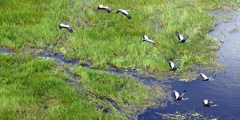 3-Day Okavango Delta Mokoro Trip Set Departures