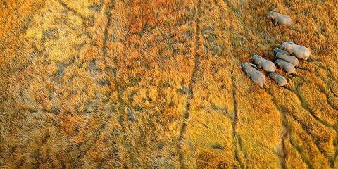 Luxury Cape Town, Okavango Delta & Victoria Falls