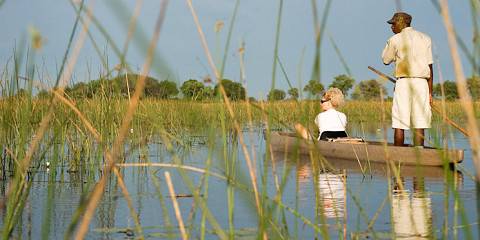 1-Day Mokoro Safari - Private Tour