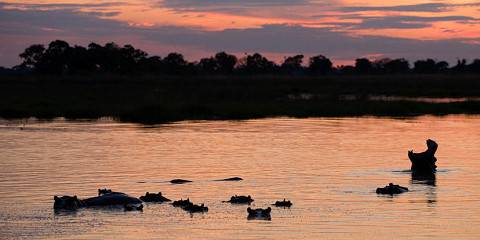 14-Day Namibia, Botswana and Victoria Falls (Camping)