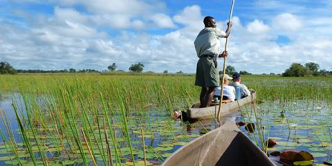 5-Day Okavango and Savute Big Cat Botswana Safari