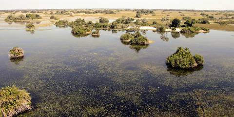 3-Day Fully Catered Mokoro (Canoe) Safari Okavango Delta