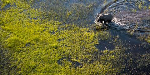 7-Day Delta Luxury Safari Special - 2 Free Nights