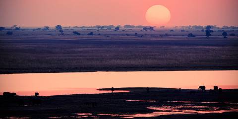 16-Day Zimbabwe Botswana Game Trail