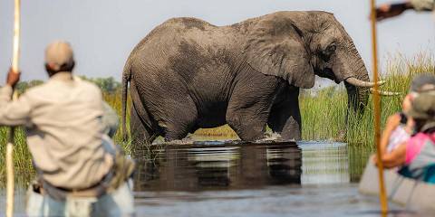 3-Day Mokoro Tour