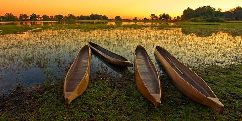 4-Day Explore and Unwind in the Heart of the Okavango