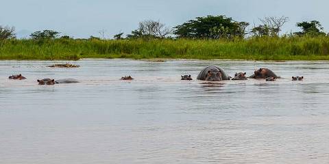 Rusizi National Park and Bujumbura Tour