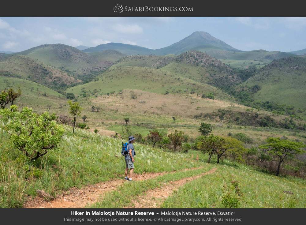 Hiker in Malolotja NR in Malolotja Nature Reserve, Eswatini