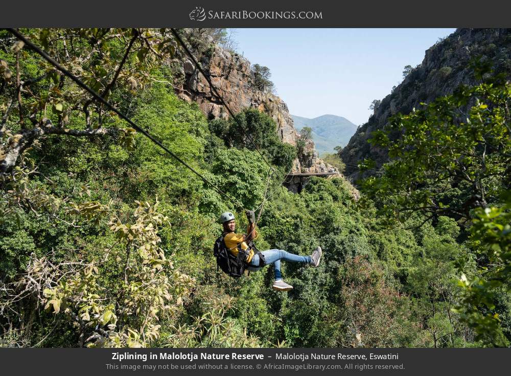 Zip-lining in Malolotja NR in Malolotja Nature Reserve, Eswatini