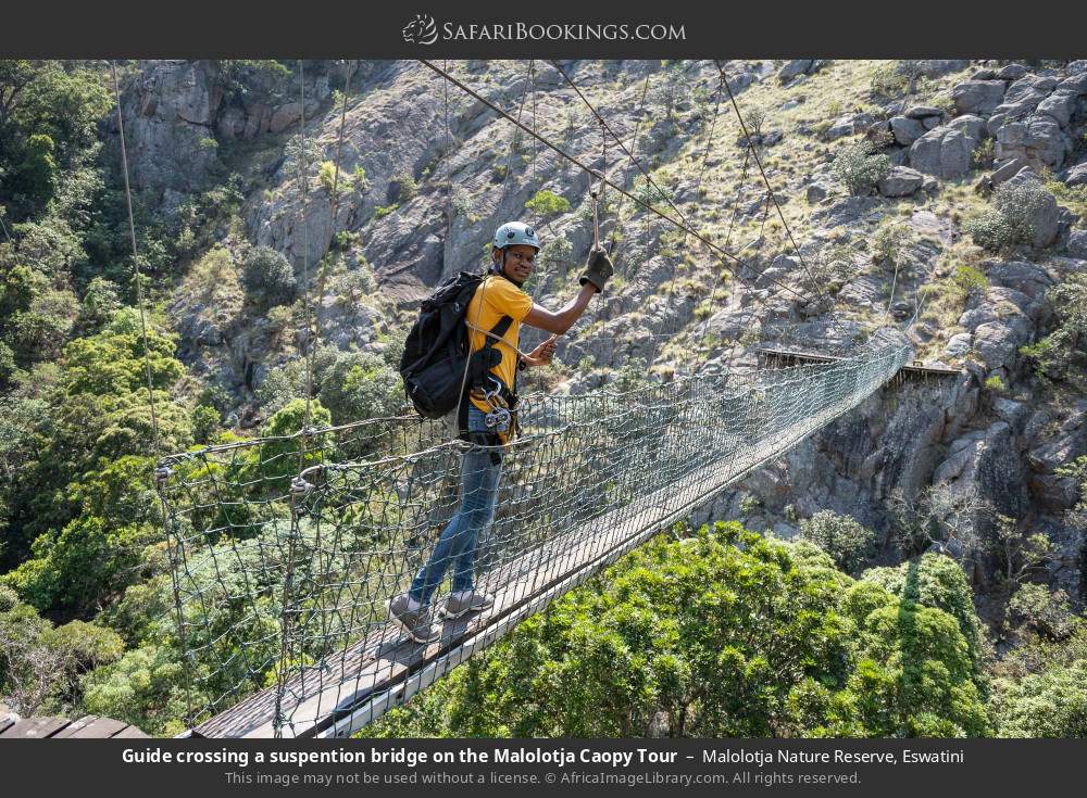 Guide crossing a suspension bridge on the Malolotja Canopy Tour in Malolotja Nature Reserve, Eswatini