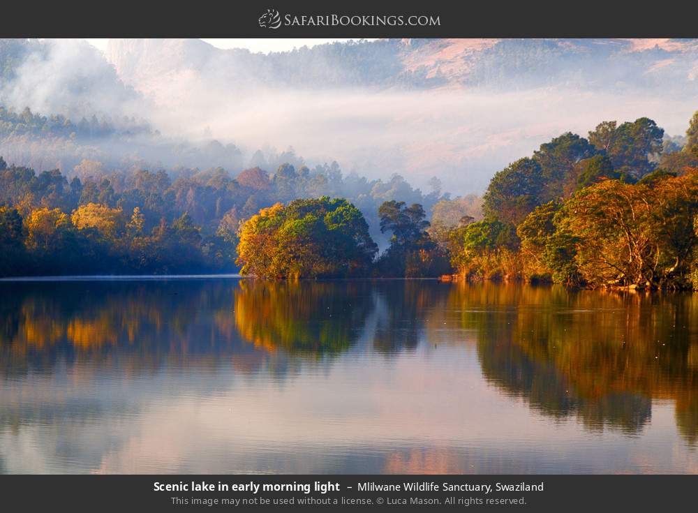 Scenic lake in early morning light, Mlilwane WS in Mlilwane Wildlife Sanctuary, Eswatini