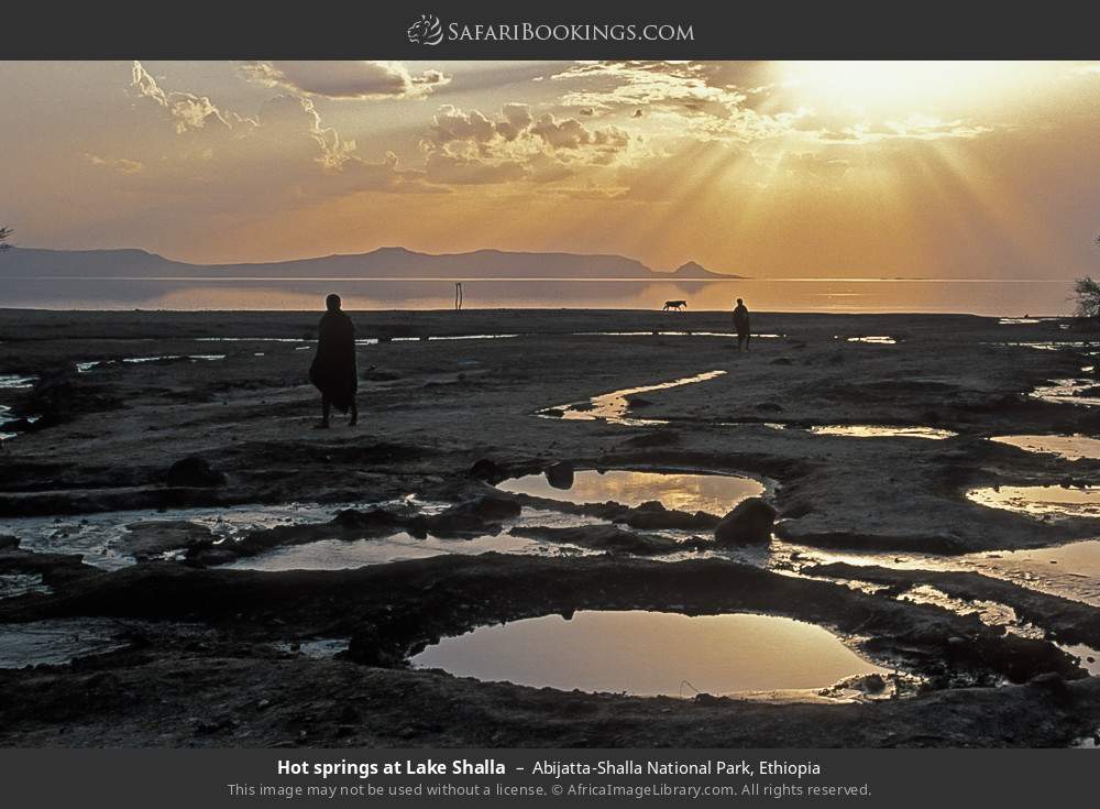 Hot springs at Lake Shalla in Abijatta-Shalla National Park, Ethiopia