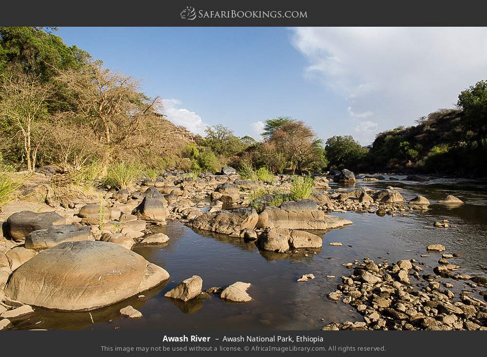 Awash River in Awash National Park, Ethiopia