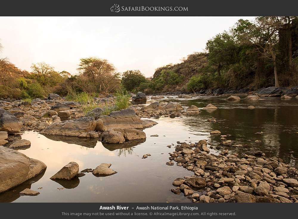 Awash River in Awash National Park, Ethiopia