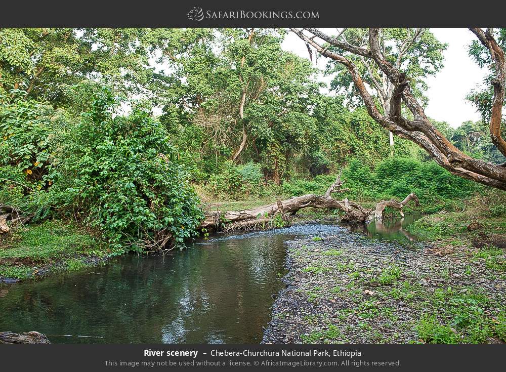 River scenery in Chebera-Churchura National Park, Ethiopia