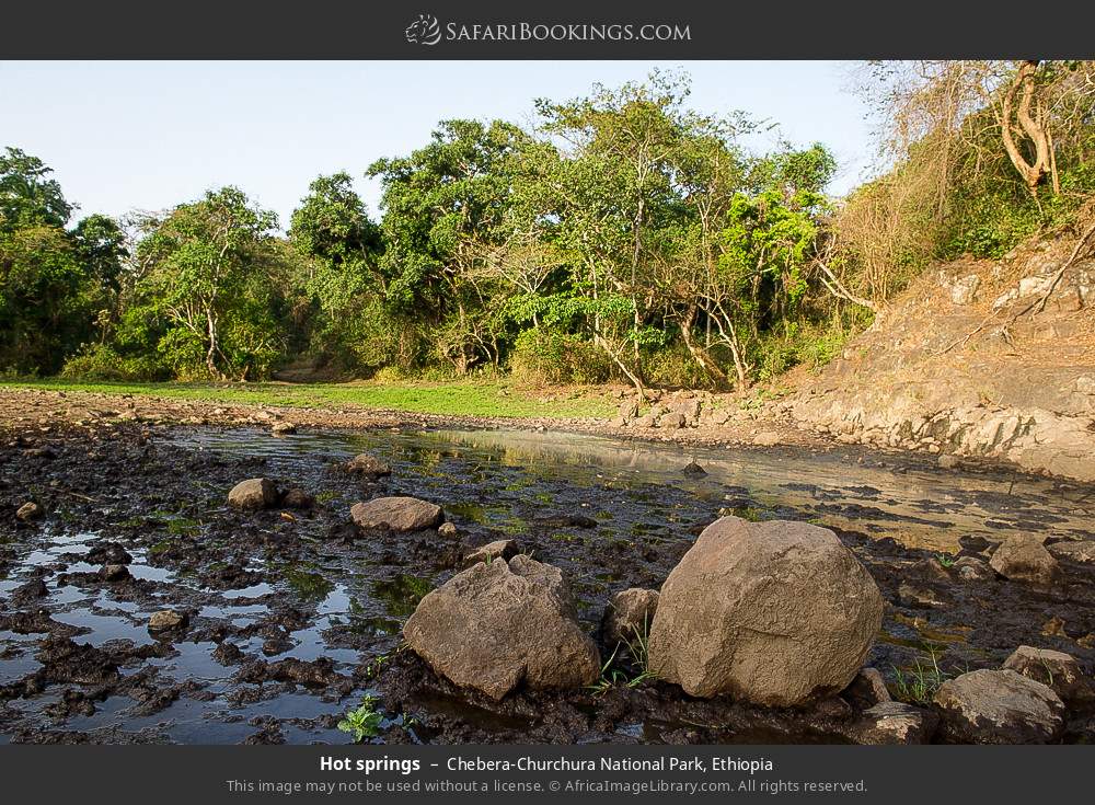Hot springs in Chebera-Churchura National Park, Ethiopia