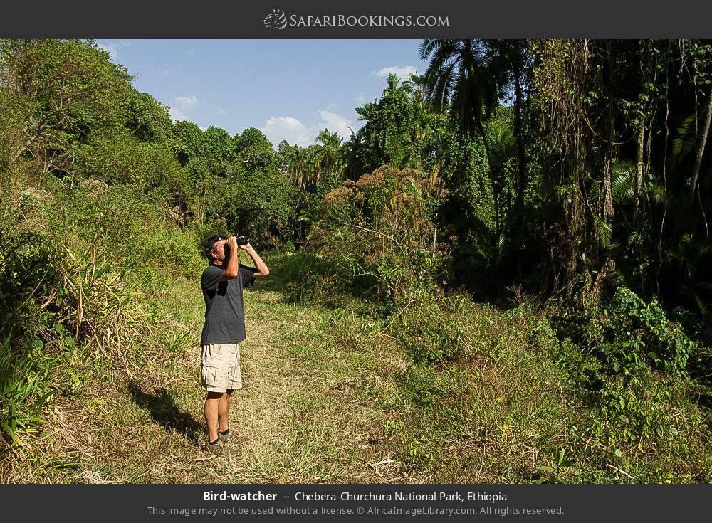 Bird-watcher in Chebera-Churchura National Park, Ethiopia