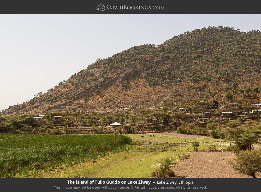 The island of Tullo Guddo on Lake Ziway in Lake Ziway, Ethiopia