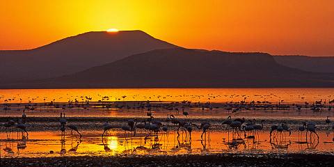 Explore Danakil Depression &Lalibela Rock Churches