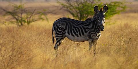 6-Day Ethiopia Nature & Culture Adventure