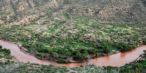 Awash Wildlife & Hot Springs Safari