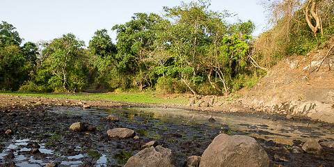 3-Day Chebera-Churchura National Park Safari Tour