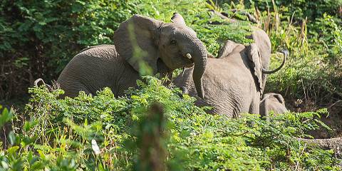 7-Day Omo Valley Ethiopia Culture, Mountains & Wildlife