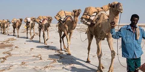 3-Day All Inclusive Danakil Depression and Tigray Church