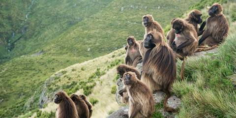16-Day Ethiopian Festivals Tour
