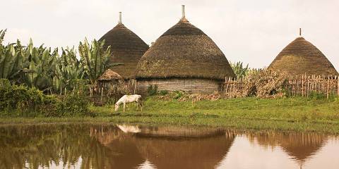 4-Day Ethiopian Coffee Tour