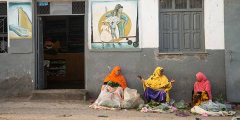 3-Day Harar, Diredwa and Bable Camel Market Tour
