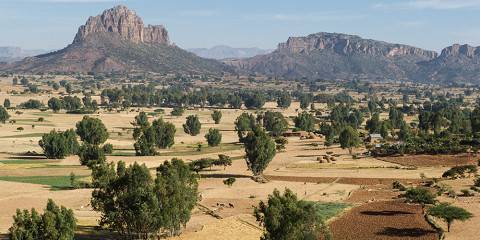 6-Day Axum and Tigray Churches Tour